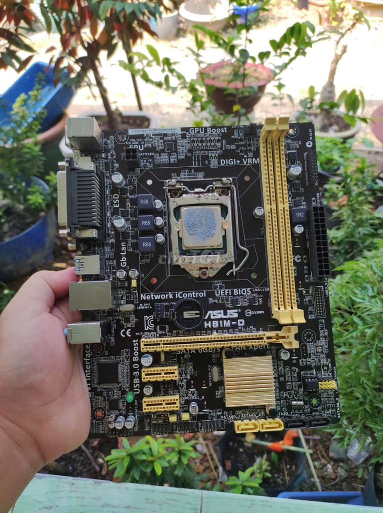 H81 asus + xeon 1220v3 mạnh ngang i5 4570