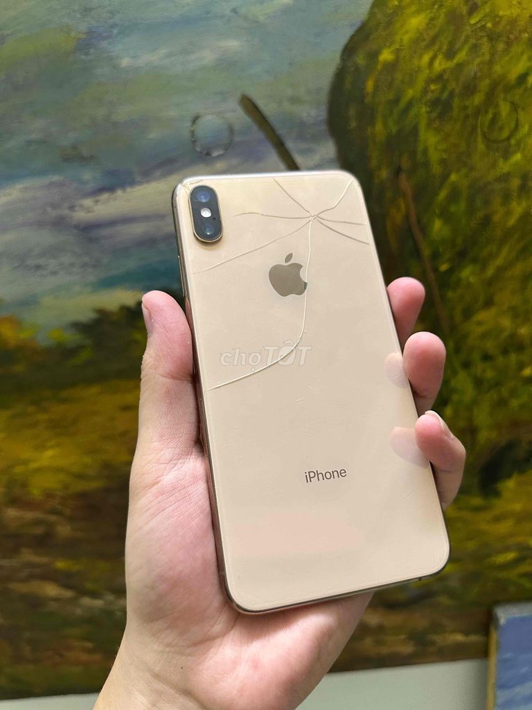 iPhone XS Max 256gb lok. Mua bán Điện thoại tại Thành phố Vũng Tàu Bà Rịa - Vũng Tàu được đăng bởi hayname hình 1