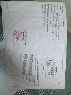 cần bán lô đất thôn 6 xuân sinh đoạn bùng binh đường mới. Mua bán đất tại Huyện Thọ Xuân Thanh Hóa được đăng bởi đình  tuân