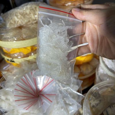 Yến tươi nguyên sợi. Mua bán Đồ ăn, thực phẩm và các loại khác tại Quận Gò Vấp Tp Hồ Chí Minh được đăng bởi BÙI THỊ YẾN OANH 