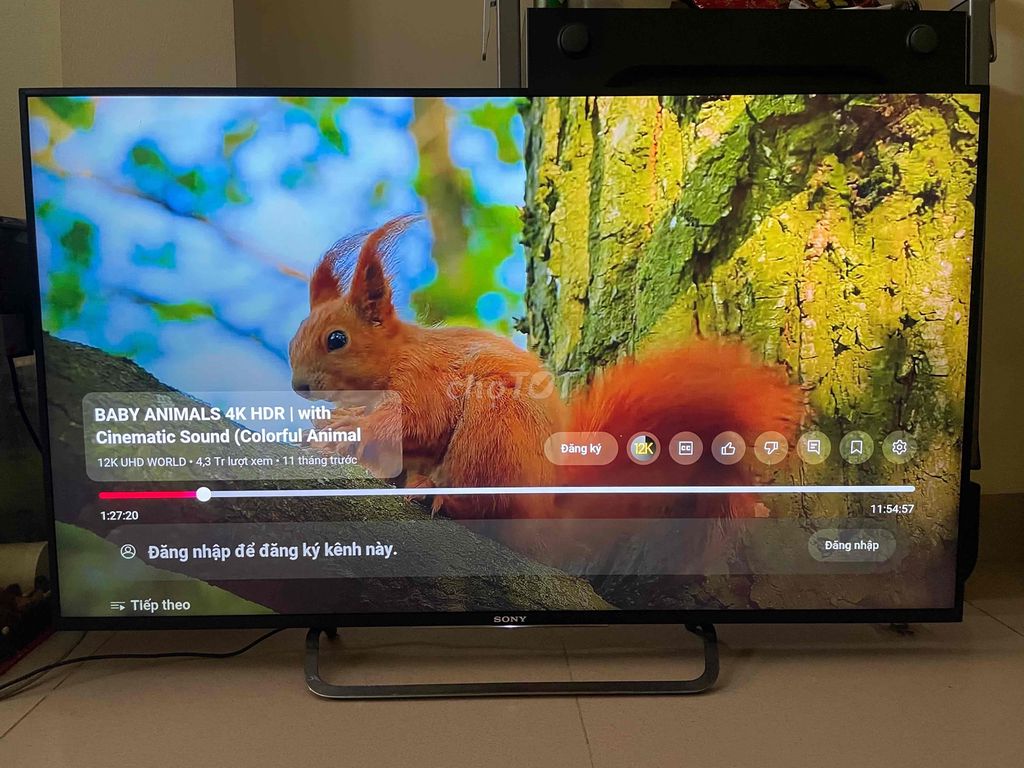 Tivi 49 inch Sony 4K Android nhà dùng cần pass