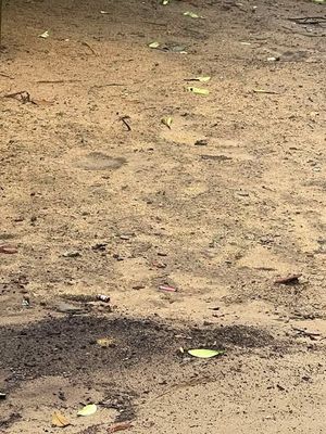 Bán đất thôn Đại Đồng- Cương Gián. Mua bán đất tại Huyện Nghi Xuân Hà Tĩnh được đăng bởi ho tu