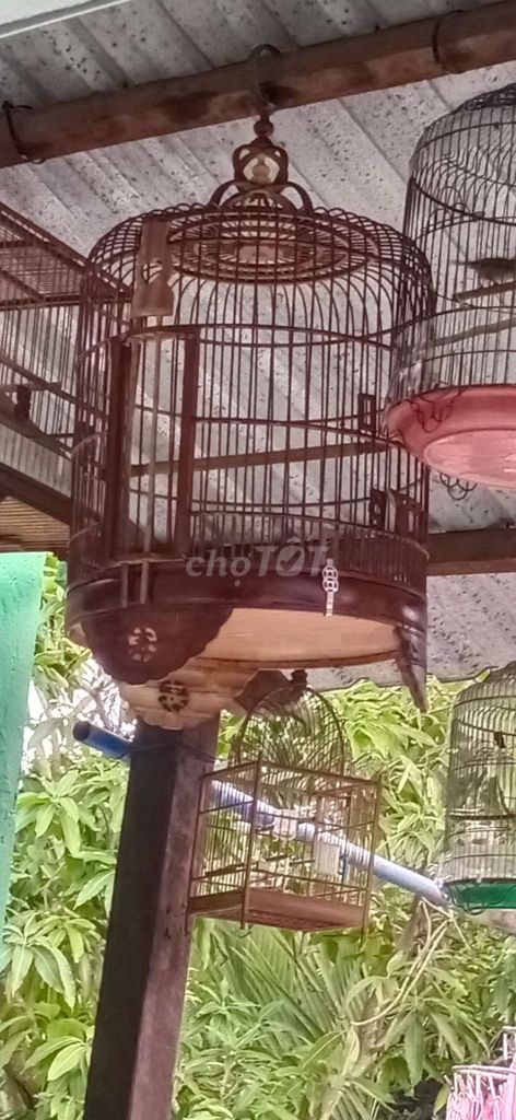 Lồng chim Gỗ đã qua sử dụng. Mua bán Phụ kiện, Thức ăn, Dịch vụ tại Huyện Nhà Bè Tp Hồ Chí Minh được đăng bởi Thông  hình 1