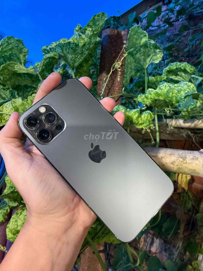 iPhone 12 Pro Max 128GB Xám Đã sử dụng ko face id. Mua bán Điện thoại tại Thành phố Sa Đéc Đồng Tháp được đăng bởi trà văn lâm hình 1