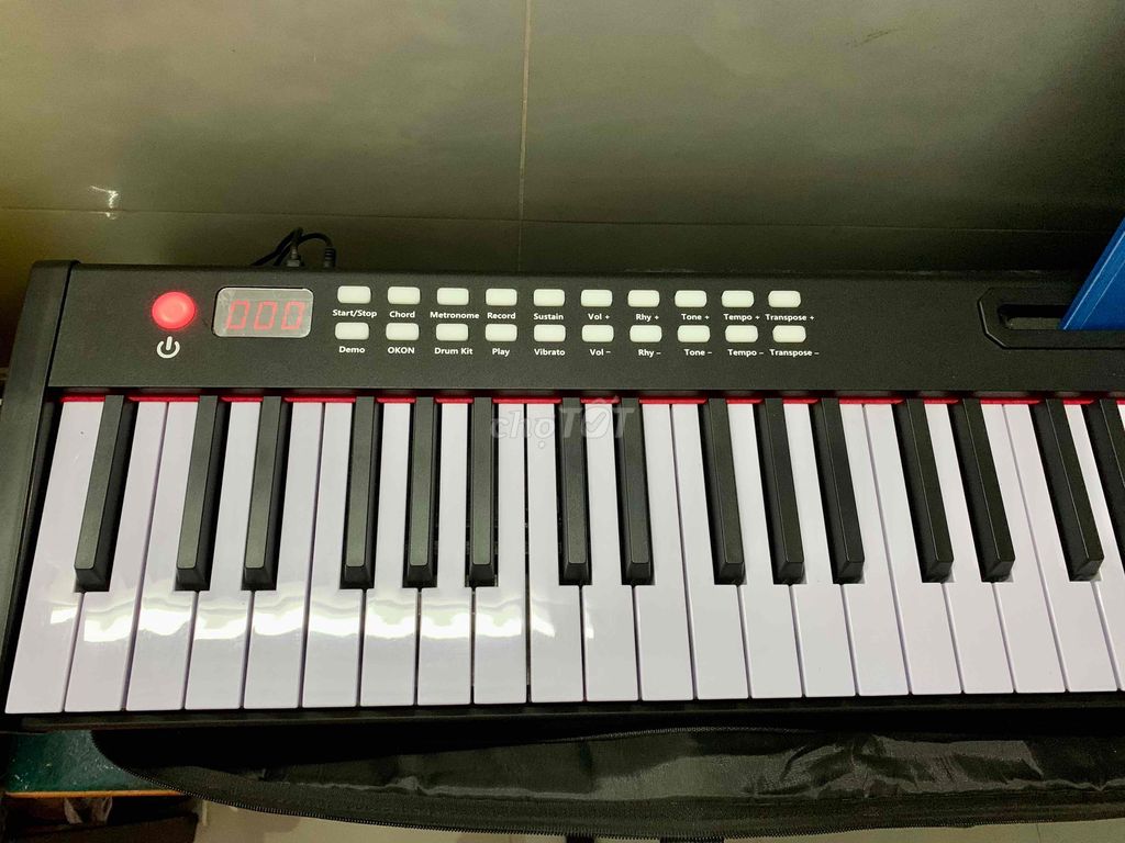 ĐÀN PIANO BX-2 GIÁ HẠT DẺ TẠI TPHCM