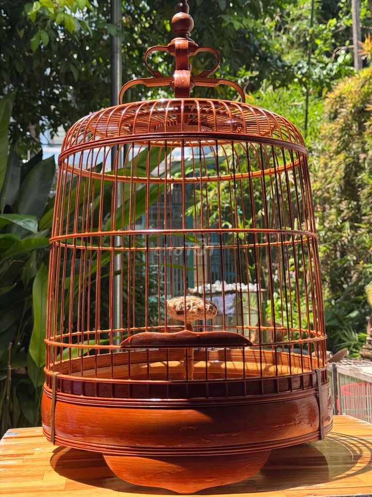 Lồng Sơn Ca chuông đẹp. Mua bán Phụ kiện, Thức ăn, Dịch vụ tại Quận Gò Vấp Tp Hồ Chí Minh được đăng bởi Khoa Trần hình 1
