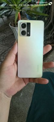 Oppo Reno8.ram 8+8/256G .chữa cháy chiến game. Mua bán Điện thoại tại Quận Bình Thuỷ Cần Thơ được đăng bởi CẦU RẠCH SÚC NGUYỄN VĂN LINH cafe Thạch Bàn 