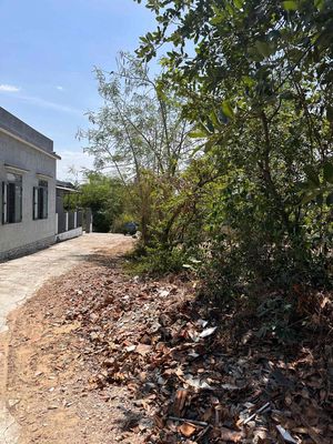 Cần Bán Lô Đất Diện Tích Lớn - Gần Hội An