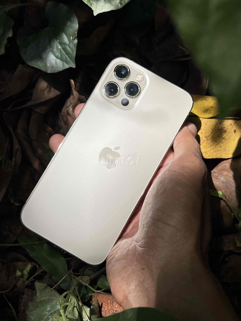 Apple iPhone 12 Pro 128GB Vàng Quốc tế. Mua bán Điện thoại tại Quận Ninh Kiều Cần Thơ được đăng bởi Bảo An Mobile hình 1