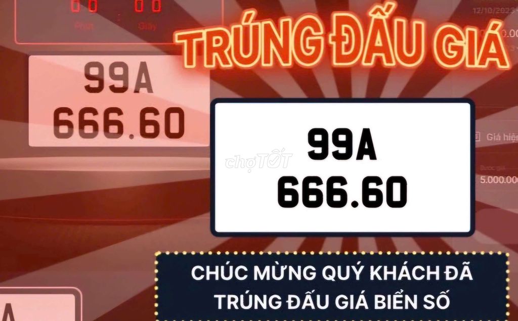 Ảnh số 5