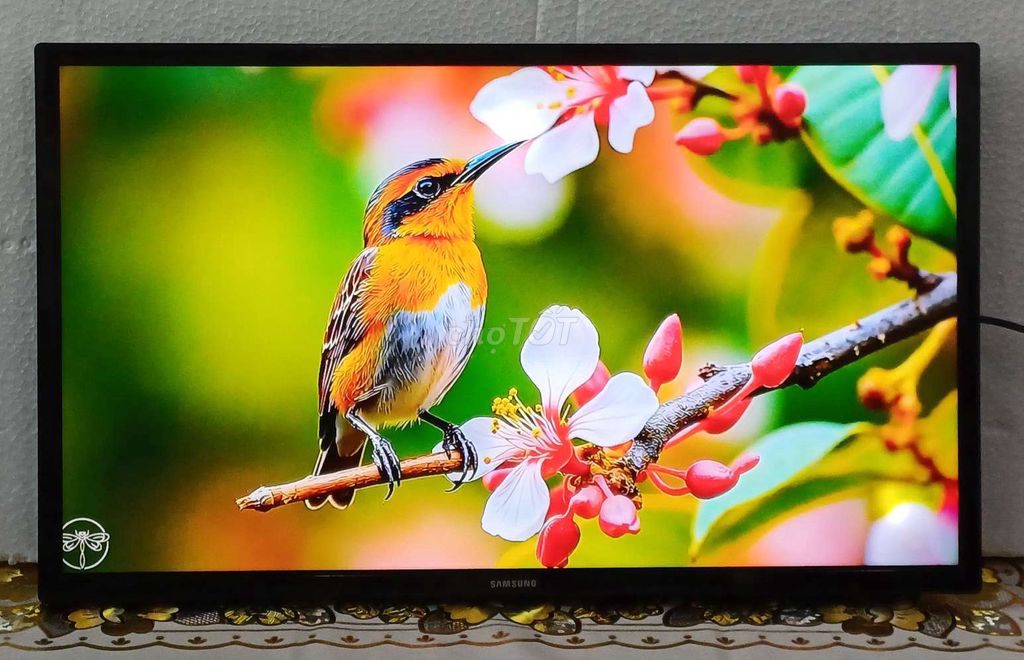 Tivi Samsung 32 inch zin đẹp. Mua bán Tivi, Âm thanh tại Quận Ninh Kiều Cần Thơ được đăng bởi Luật Nguyễn hình 1
