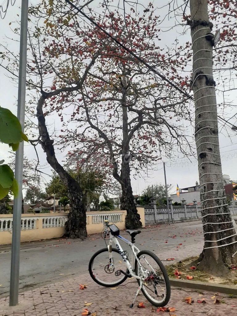 Xe đạp địa hình Giant khung nhôm ALUXX. Mua bán Xe đạp tại Quận Lê Chân Hải Phòng được đăng bởi Hải Anh Audio hình 2