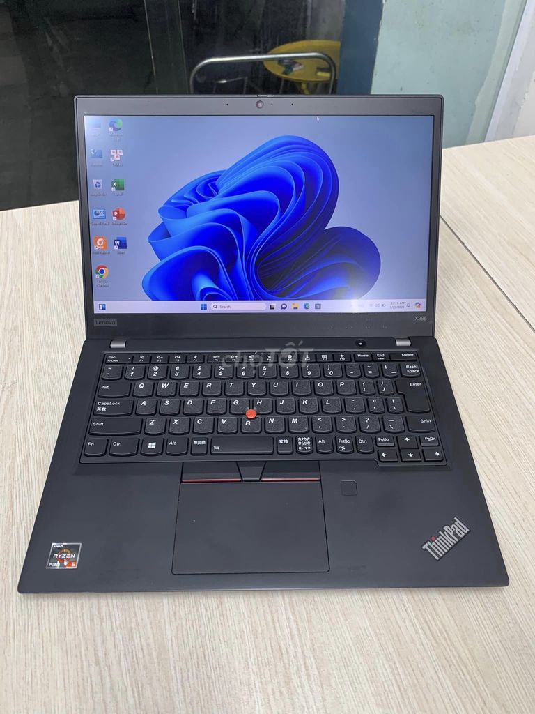 Lenovo ThinkPad x395