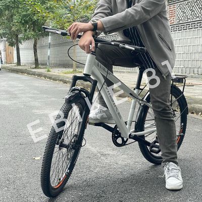 Xe đạp city dáng thể thao Wiibike Sapa