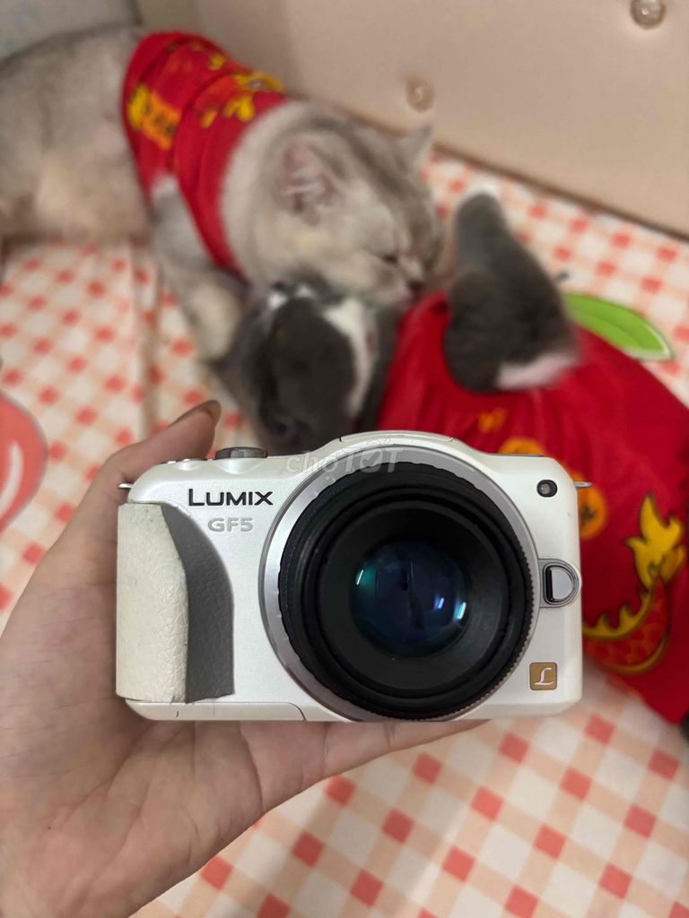 Máy ảnh Panasonic Lumix GF5 Trắng. Mua bán Máy ảnh, Máy quay tại Thành phố Thủ Đức Tp Hồ Chí Minh được đăng bởi Mai Linh Nguyen Ngoc hình 1
