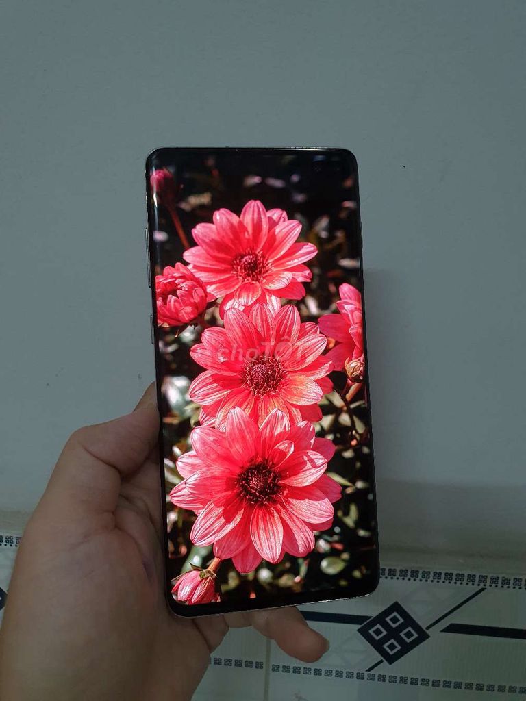 Samsung S10 Plus ram 8gb chơi top top cũng ok. Mua bán Điện thoại tại Quận Gò Vấp Tp Hồ Chí Minh được đăng bởi Điện thoại SAMPHONE hình 1