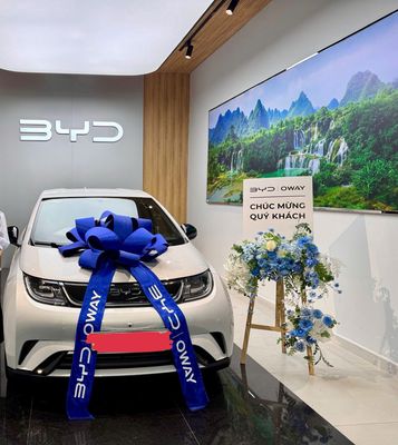 BYD Dolphin Điện 2025