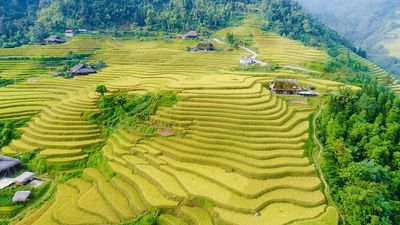 Chính chủ bán 1350m2 đất Muồng Voi, Vân Hòa, Ba Vì. Khoang Xanh. Mua bán đất tại Huyện Ba Vì Hà Nội được đăng bởi Nhà đất HN