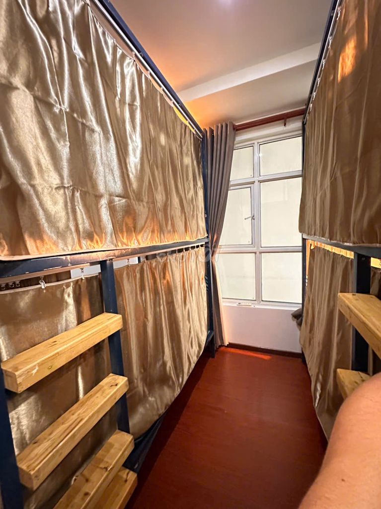 Giường tầng gỗ Xám Nâu. Mua bán Giường, chăn ga gối nệm tại Thị xã Phú Mỹ Bà Rịa - Vũng Tàu được đăng bởi Thanh Thuý hình 1