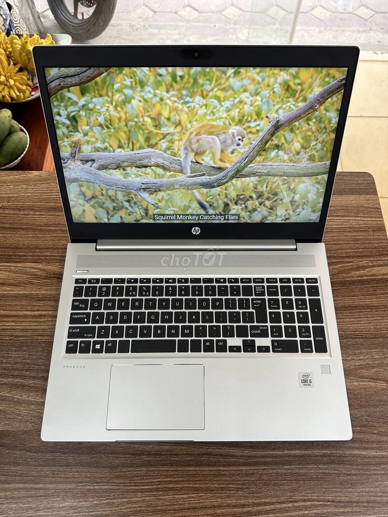 HP Probook 450 G7 i5 10210U 15.6 ZINsiêu mỏng nhẹ