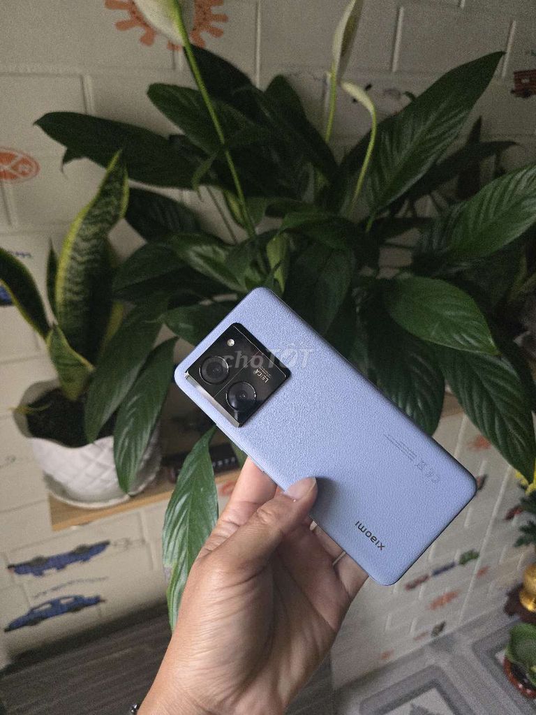Xiaomi 13T 8GB/256GB Xanh 99%. Mua bán Điện thoại tại Thành phố Đà Lạt Lâm Đồng được đăng bởi BẢO SƠN PHẠM hình 1