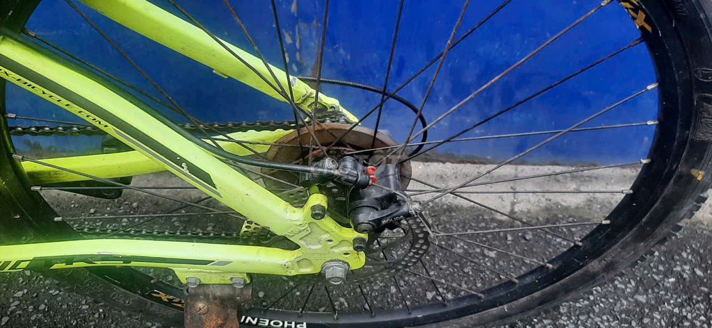 Bán xe thể thao 26 in PHOENIX chất lượng. Mua bán Xe đạp tại Quận 10 Tp Hồ Chí Minh được đăng bởi Minh Khoa Le hình 2