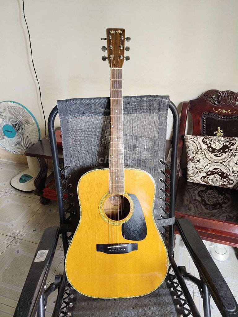 Bán guitar acoustic cao cấp Morris MD-515