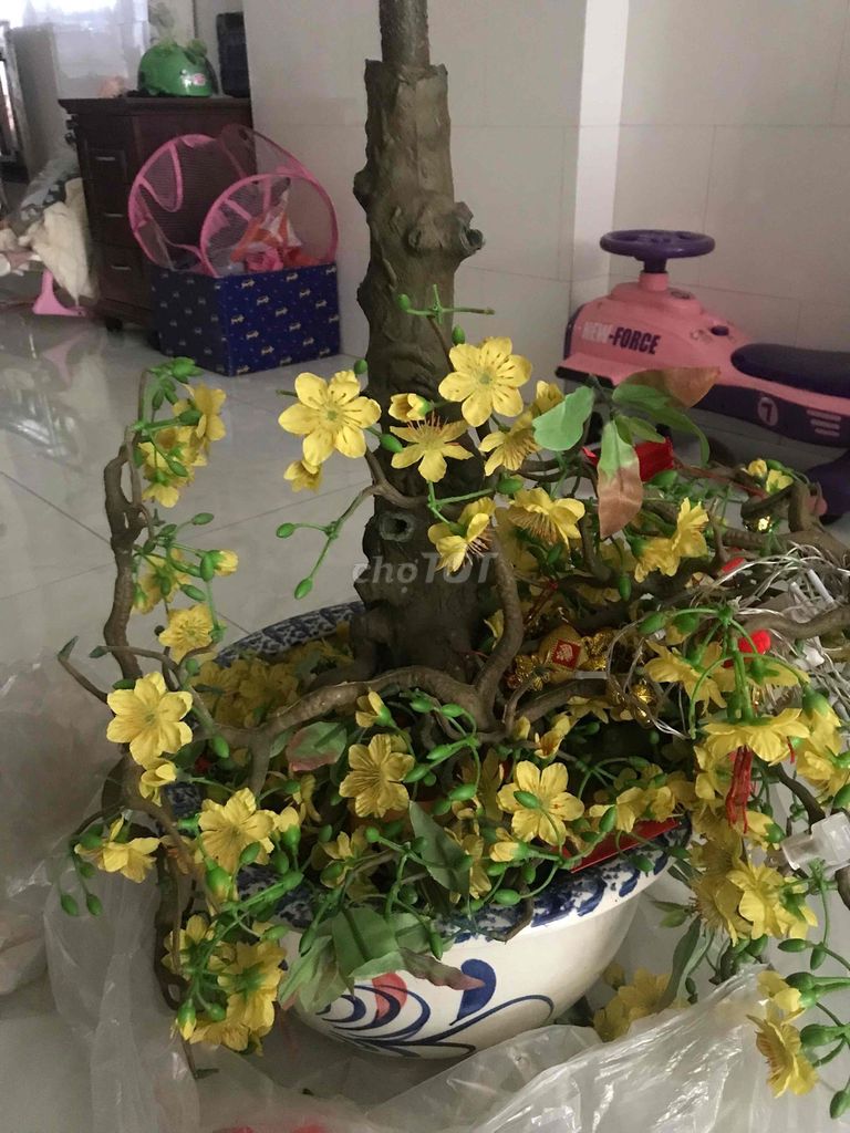 Chậu mai giả Nhựa Vàng 1m. Mua bán Cây cảnh, đồ trang trí tại Quận Bình Tân Tp Hồ Chí Minh được đăng bởi Tran Hoang Duy hình 1