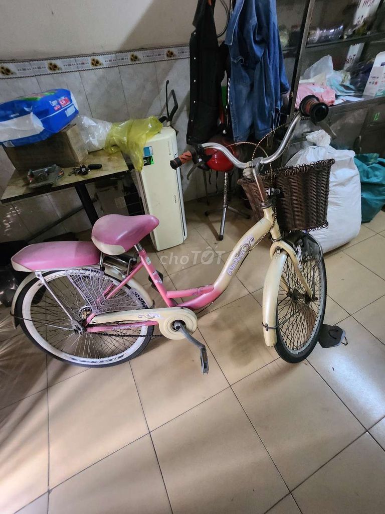 Xe đạp nữ. Mua bán Xe đạp tại Quận 6 Tp Hồ Chí Minh được đăng bởi Châu Nguyệt mi hình 1