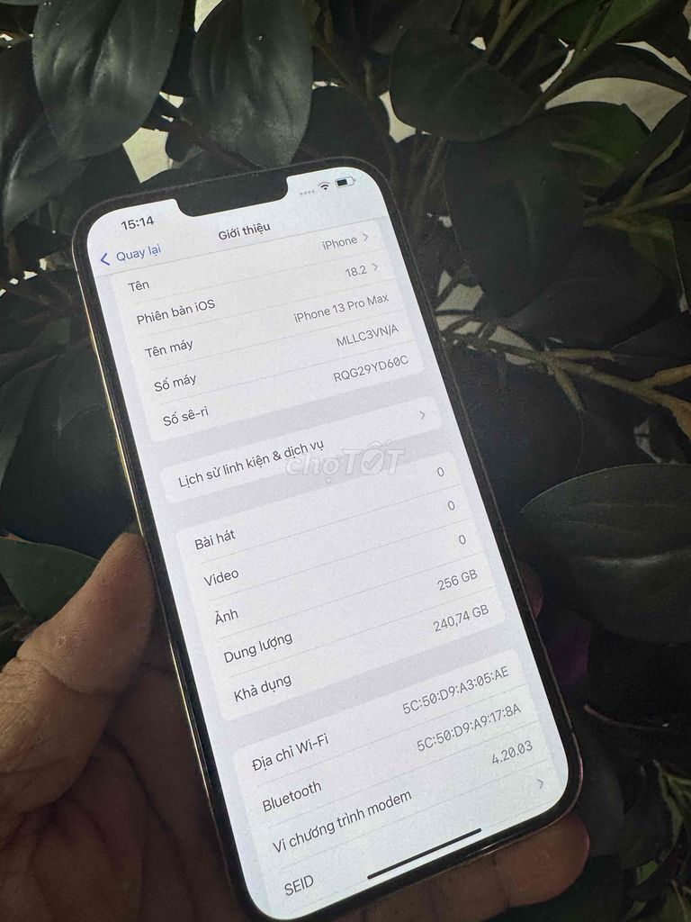 iPhone 13 prm 256G vàng qte Việt Nam!