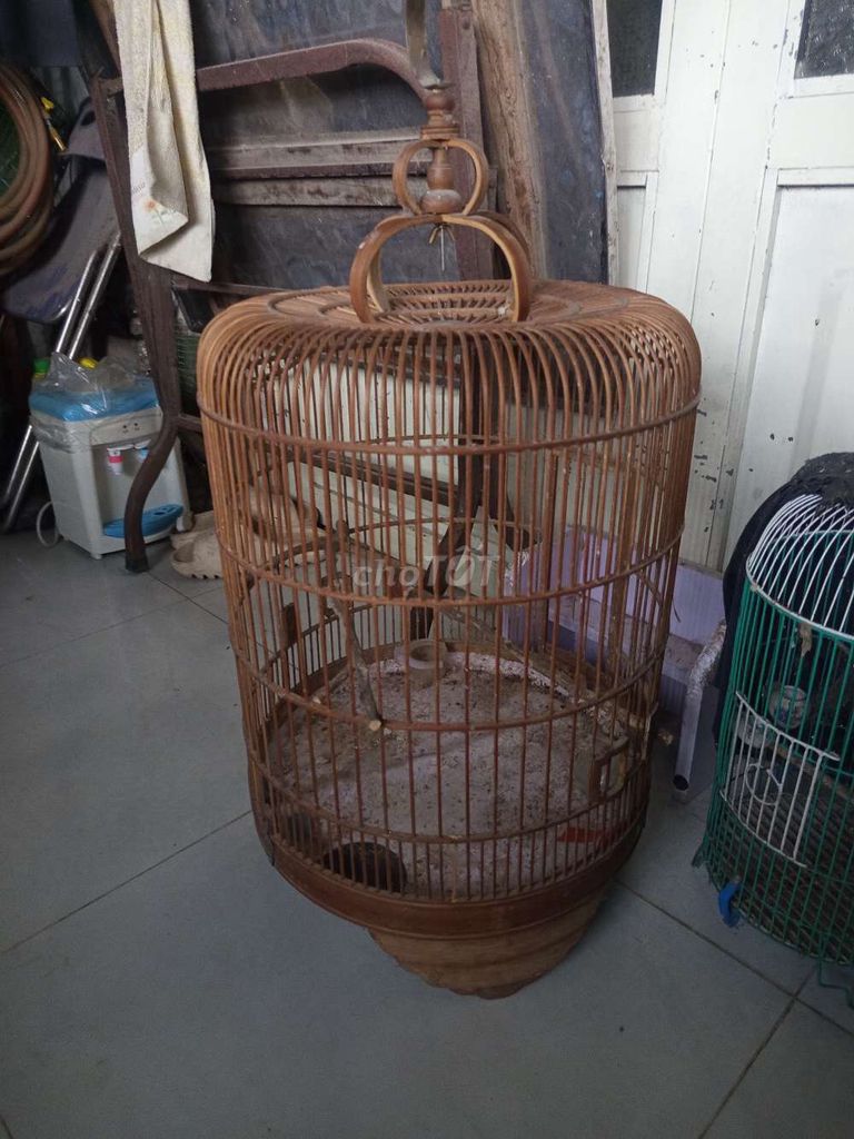 Lồng chim Tre Kim loại Nâu Xanh lá 4 cái. Mua bán Phụ kiện, Thức ăn, Dịch vụ tại Huyện Củ Chi Tp Hồ Chí Minh được đăng bởi Thanh Việt hình 1