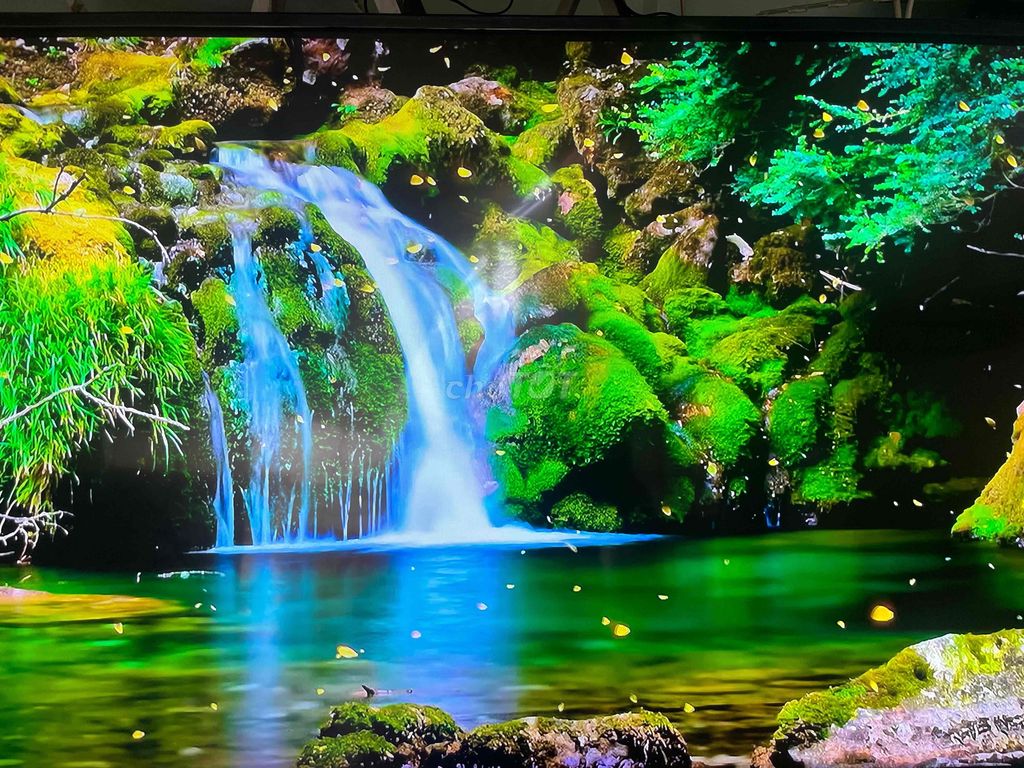 dọn quán bán ti vi sony 43 in đẹp có giọng nói. Mua bán Tivi, Âm thanh tại Quận Bình Tân Tp Hồ Chí Minh được đăng bởi Thiện hình 3