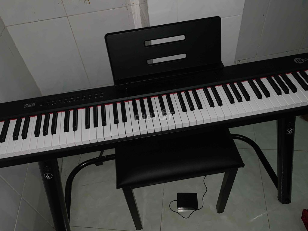 PASS ĐÀN PIANO WERSI ( DÙNG ĐƯỢC 1 THÁNG )