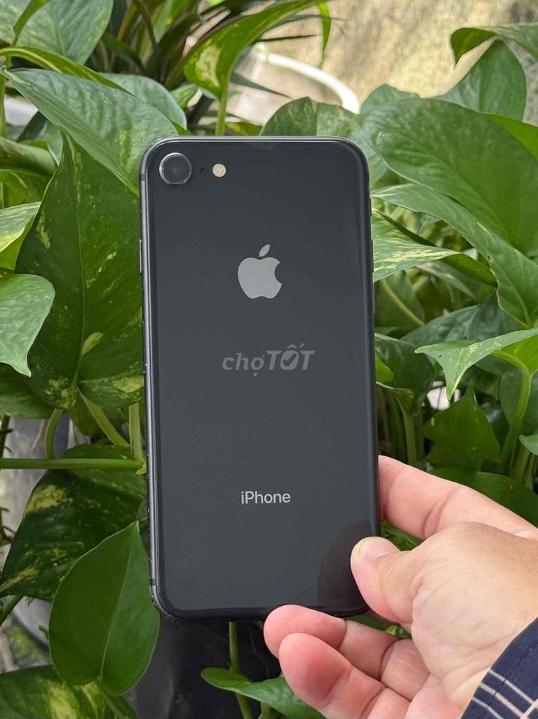 Apple iPhone 8 64GB Đen. Mua bán Điện thoại tại Quận 12 Tp Hồ Chí Minh được đăng bởi Sonle hình 1