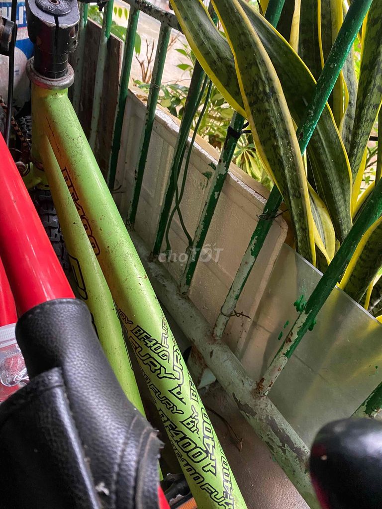 Xe đạp thể thao dư dùng. Mua bán Xe đạp tại Thành phố Cà Mau Cà Mau được đăng bởi P hình 1