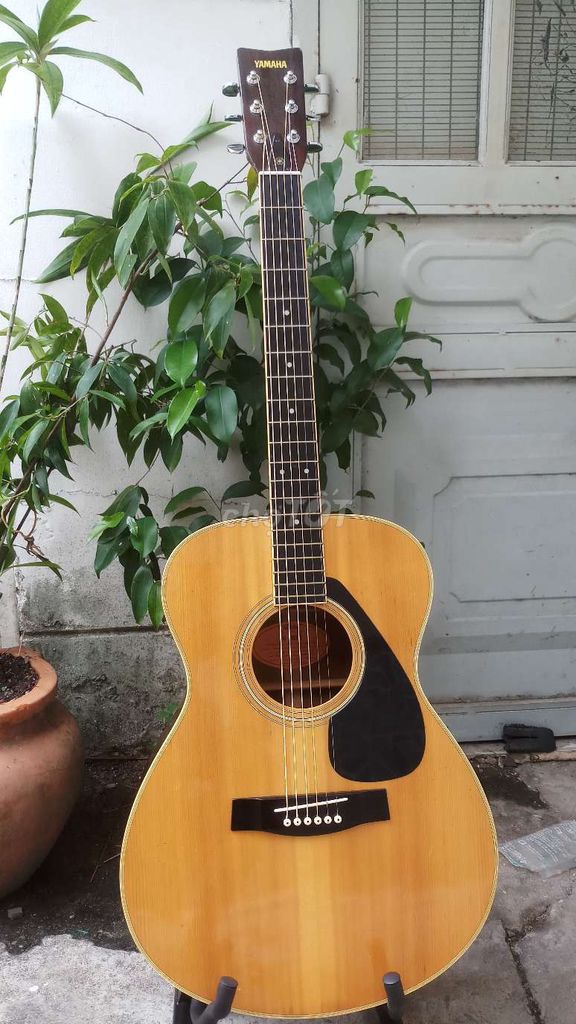 Guitar Acoutic fg 202 B Japan