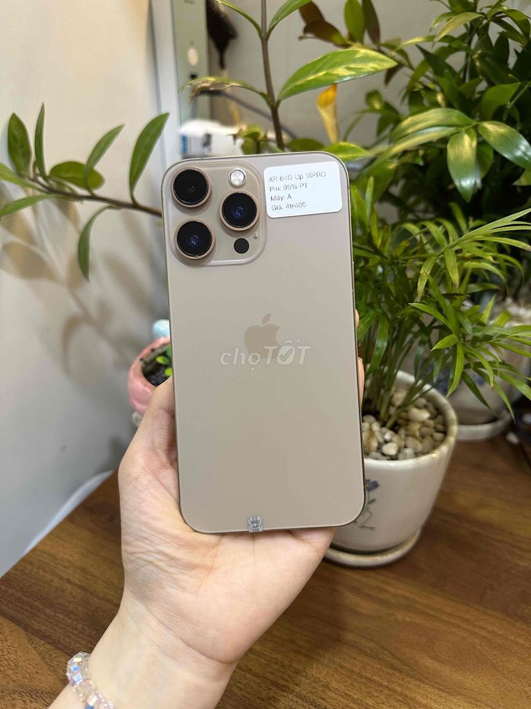 Apple iPhone Xr 64GB Vàng độ vỏ 15Pro. Mua bán Điện thoại tại Huyện Hóc Môn Tp Hồ Chí Minh được đăng bởi SIRI STORE HCM hình 1