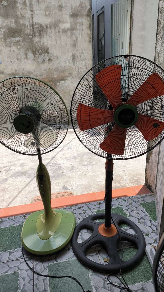 Quạt đứng Phong Lan 5 cánh. Mua bán Quạt tại Quận Kiến An Hải Phòng được đăng bởi VTV hình 1