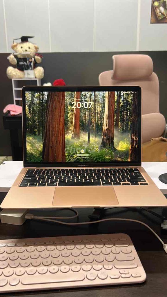 Apple MacBook Air Vàng hồng. Mua bán Laptop tại Quận Tân Phú Tp Hồ Chí Minh được đăng bởi Hồng Liên Hà Lê hình 1