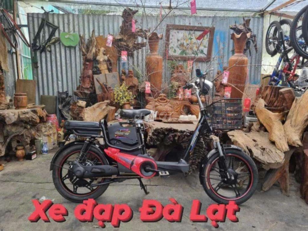 Xe đạp điện,xe điện cần bán.. Mua bán Xe điện tại Thành phố Đà Lạt Lâm Đồng được đăng bởi quang le hình 5