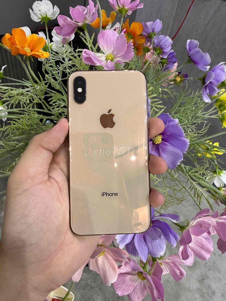 iPhone XS Quốc Tế🍏CÓ TRẢ GÓP. Mua bán Điện thoại tại Quận Thanh Khê Đà Nẵng được đăng bởi HD STORE hình 1
