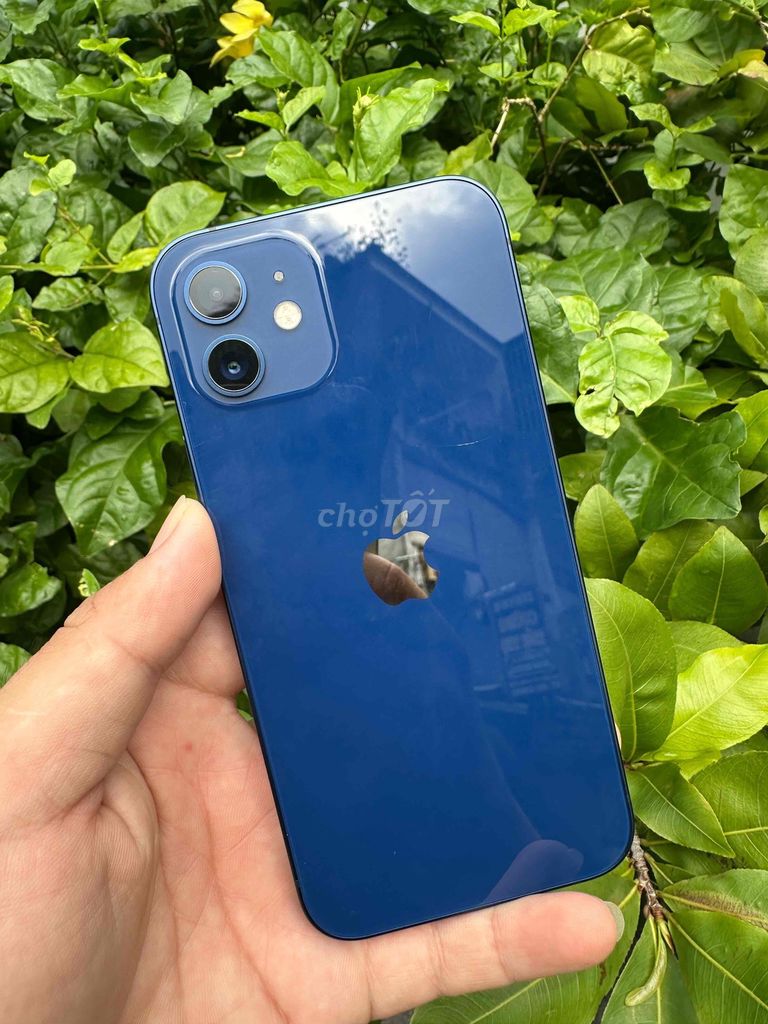 Apple iPhone 12 128GB Xanh. Mua bán Điện thoại tại Thành phố Thủ Đức Tp Hồ Chí Minh được đăng bởi milo hình 1