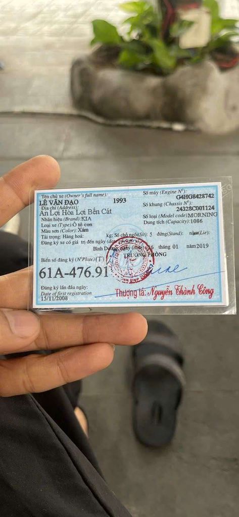 Ảnh số 8