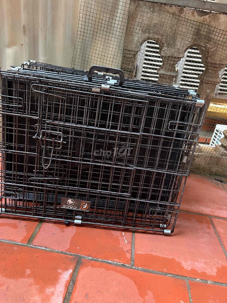 Lồng vận chuyển chó mèo Size M hàng mới. Mua bán Phụ kiện, Thức ăn, Dịch vụ tại Quận Thanh Xuân Hà Nội được đăng bởi Quỳnh anh hình 1