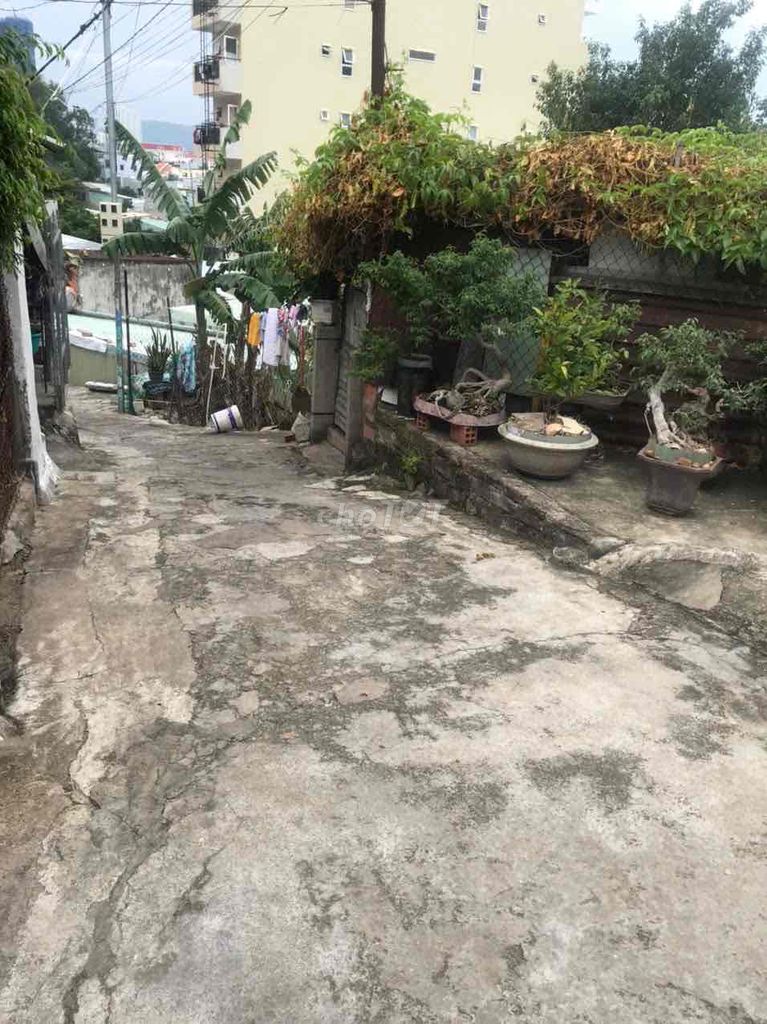 Nhà 55m2 hoàng văn thụ