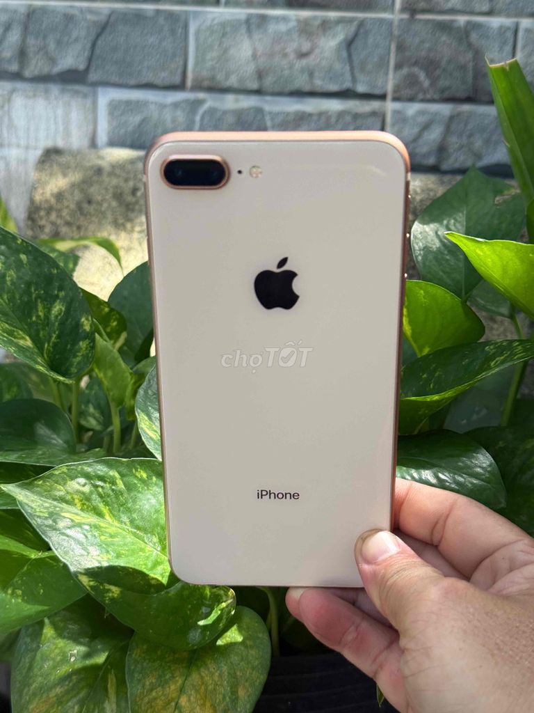 Apple iPhone 8 Plus 64GB Vàng hồng Đã sử dụng. Mua bán Điện thoại tại Huyện Hóc Môn Tp Hồ Chí Minh được đăng bởi Sonle hình 1