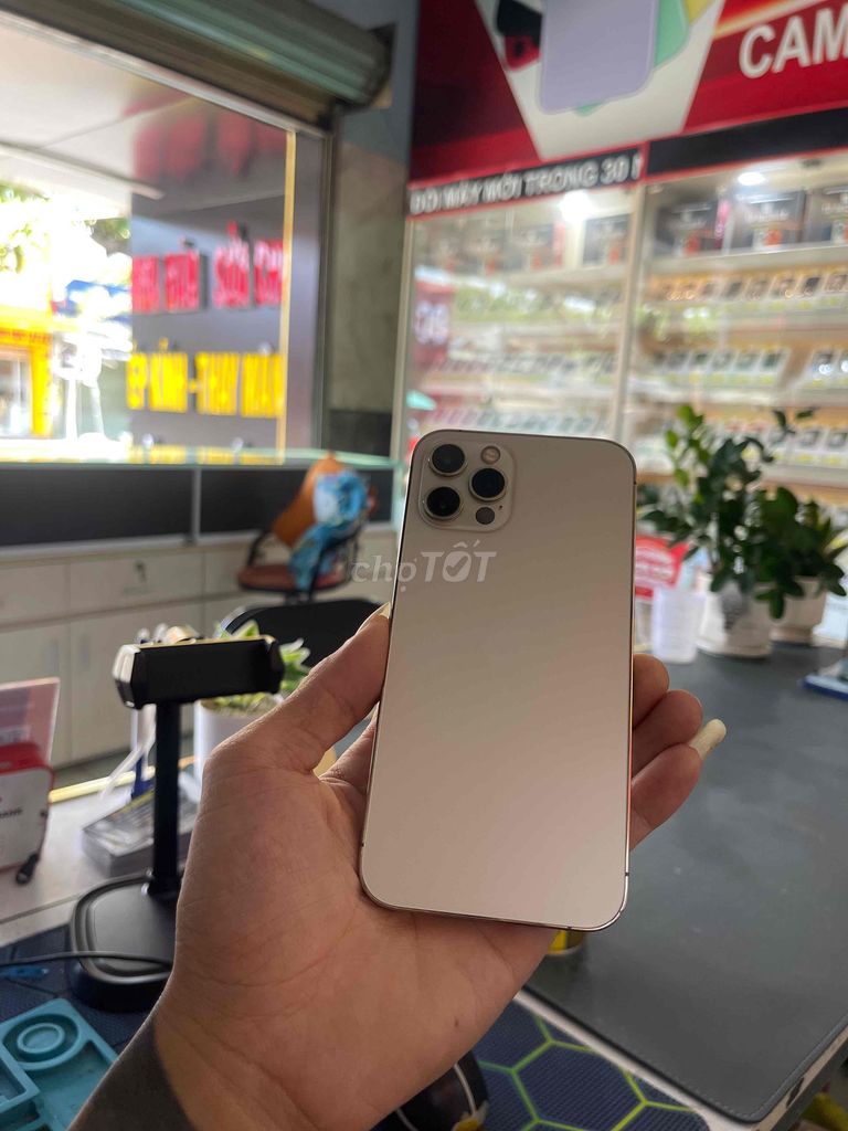 Apple iPhone 12 Pro 128GB Vàng. Mua bán Điện thoại tại Thành phố Thuận An Bình Dương được đăng bởi Tp Mobile hình 1