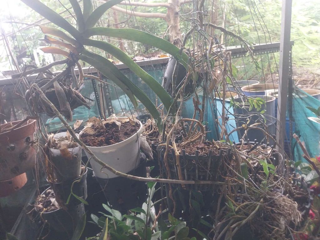 Bàn thờ cỡ nhỏ Thủ Dầu Một. Mua bán Nội thất, đồ gia dụng khác tại Thành phố Thủ Dầu Một Bình Dương được đăng bởi aviva vophuong hình 1