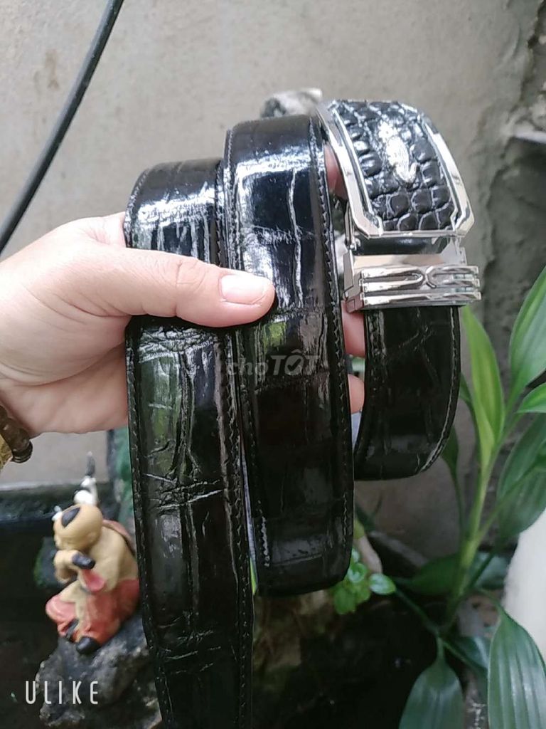 Thắt lưng Da cá sấu Đen Nâu Unisex. Mua bán Phụ kiện thời trang khác tại Quận 12 Tp Hồ Chí Minh được đăng bởi Chi hình 1