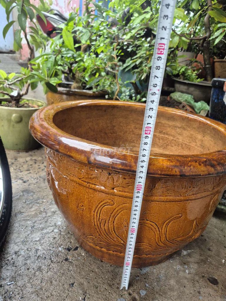 Chậu trồng cây Gốm Nâu Rồng cá xưa . Mua bán Cây cảnh, đồ trang trí tại Quận 8 Tp Hồ Chí Minh được đăng bởi Vo Thamh Phuoc  hình 1